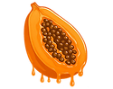 PAPAYA