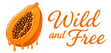 Wild and Free Logo